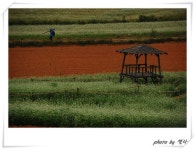 지난 주말에 다녀온 고창학원농장... ::: 82cook.com