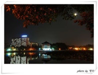 저녁에 찾아간 집근처 덕진공원에서... ::: 82cook.com