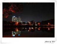 저녁에 찾아간 집근처 덕진공원에서... ::: 82cook.com