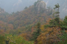 일주일 후 9일 -불타는 설악 ::: 82cook.com