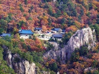 설악 비경능선의 가을풍경 2011-10-12 ::: 82cook.com
