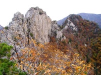 설악 비경능선의 가을풍경 2011-10-12 ::: 82cook.com