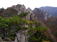 설악 비경능선의 가을풍경 2011-10-12 ::: 82cook.com
