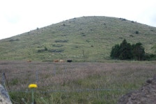 묻지마 관광~!(제주하루^^) ::: 82cook.com