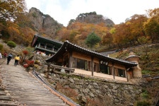 한발늦은 청량산 단풍 2011-10-30 ::: 82cook.com