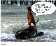 너무 집착 하지마!! ::: 82cook.com