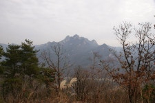 한적한 노고산 낙엽산행 2011-11-17 ::: 82cook.com