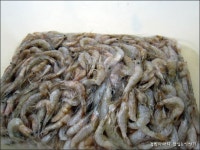 충남 태안,서산의 밥도둑 별미김치 게국지 담가봤어요. ::: 82cook.com