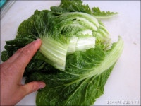 충남 태안,서산의 밥도둑 별미김치 게국지 담가봤어요. ::: 82cook.com