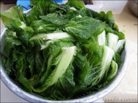 충남 태안,서산의 밥도둑 별미김치 게국지 담가봤어요. ::: 82cook.com