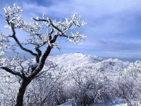 계방산의 푸른하늘 2011-12-17 ::: 82cook.com
