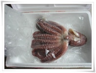 스승은 도처에 있다! ::: 82cook.com