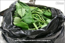 완전 사랑하는 [곤드레밥] ::: 82cook.com