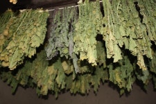 시골아짐 대~~충 밥 해먹는 이야기 ::: 82cook.com