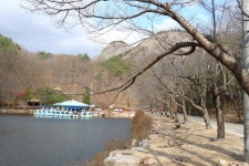 마 이 산 ::: 82cook.com