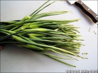 경빈마마 오랜만에 마늘쫑 오이지 갖고 왔어요~^^* ::: 82cook.com