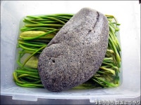 경빈마마 오랜만에 마늘쫑 오이지 갖고 왔어요~^^* ::: 82cook.com