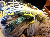여름을 시원하게 해줄 메뉴 메밀~ 메밀의 명가 삼성동 혜교네에서 ::: 82cook.com
