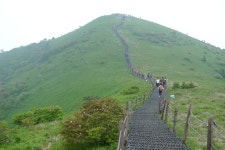 6월 소백산 ::: 82cook.com