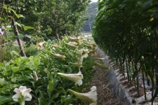 밥상공개 ::: 82cook.com