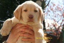 뽑뽑 ::: 82cook.com