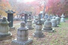 철지난 내장산 ::: 82cook.com