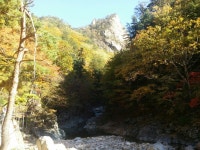 백담,수렴동의 가을설악 ::: 82cook.com