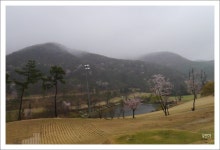 샹그릴라.. 봄의 세레나데[전주 샹그릴라cc..요조마 하우스에서] ::: 82cook.com