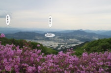 지리산 바래봉 철쭉(남원시 운봉) ::: 82cook.com