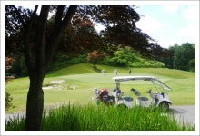 샹그릴라.. 7월의 초록빛 감성을 담다..[전주샹그릴라cc 요조마 하우스에서] ::: 82cook.com