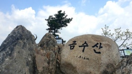 제천,단양 금수산 ::: 82cook.com