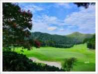 샹그릴라! 백일홍 필 무렵[전주 샹그릴라cc 기해년 8월의 이야기] ::: 82cook.com