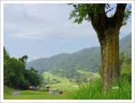 샹그릴라! 백일홍 필 무렵[전주 샹그릴라cc 기해년 8월의 이야기] ::: 82cook.com