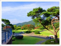 샹그릴라! 백일홍 필 무렵[전주 샹그릴라cc 기해년 8월의 이야기] ::: 82cook.com