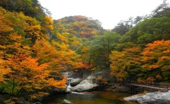 오대산 노인봉 & 소금강의 가을 ::: 82cook.com