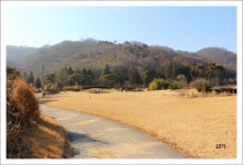 샹그릴라..겨울(美)이야기[경자년.. 자연속의 자연 전주 샹그릴라cc 겨울의 서정을 담다] ::: 82cook.com