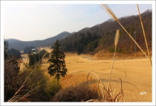 샹그릴라..겨울(美)이야기[경자년.. 자연속의 자연 전주 샹그릴라cc 겨울의 서정을 담다] ::: 82cook.com