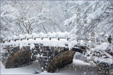 복있는 사람은 ::: 82cook.com