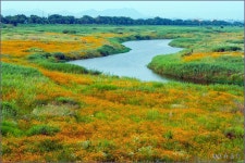 명월관 가는 길 ::: 82cook.com