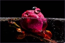 이제 벗어나고 싶습니다. ::: 82cook.com