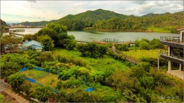 동네 찻집에서 얻는 즐거움 ::: 82cook.com