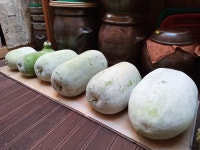 동아전과(동아정과)와 함께한 가을 ::: 82cook.com