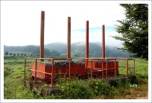 가을 낭만 코스모스 꽃길을 추억하며..[임실 맛집 수궁반점에서] ::: 82cook.com