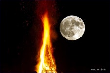 시골마을의 달맞이 ::: 82cook.com