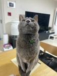 우리 웅이 ::: 82cook.com