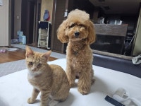 덕구덕선이 ::: 82cook.com