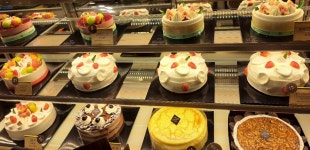 11월 꽃자랑해요 ::: 82cook.com