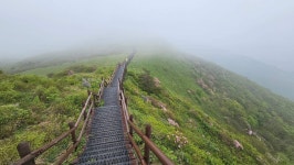 5월 소백산 ::: 82cook.com