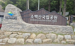 5월 소백산 ::: 82cook.com