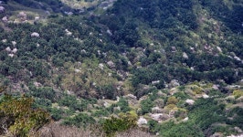 대구 비슬산 ::: 82cook.com